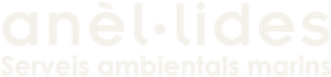 Anèl·lides
